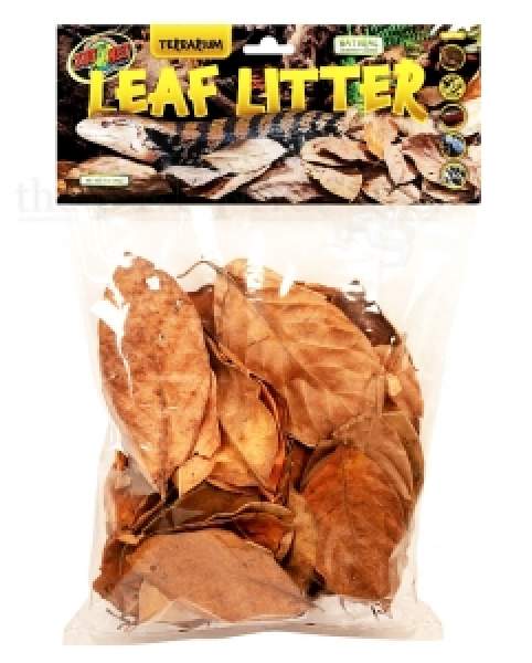 Terrarium Leaf Litter